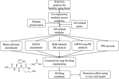Discovery of Novel Drug Candidates for Alzheimer’s Disease by Molecular Network Modeling
